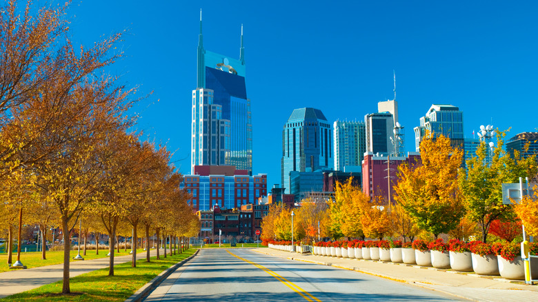 Foliage-lined street in Nashville, Tennessee