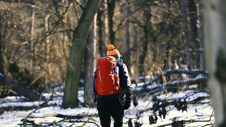 Senior hiker in a forest