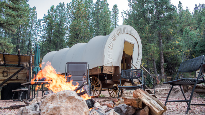 Wagon glamping experience in a forested landscape