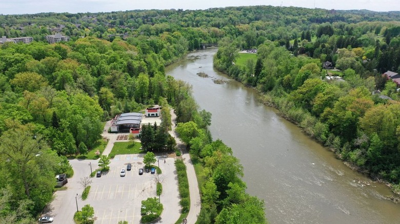 Aerial view of river and trees at Springbank Park in London, Ontario