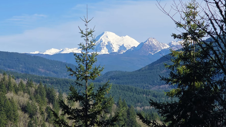 view of mountains from Squires Lake Park