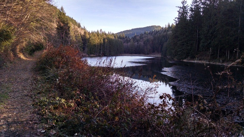 photo of Squires Lake Park