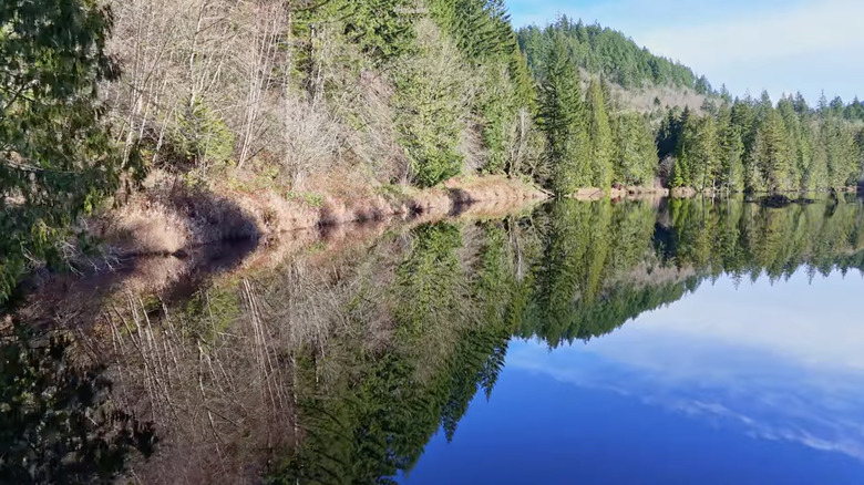 view of a lake in Squires Lake Park
