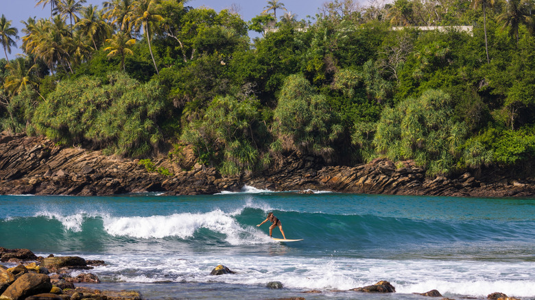 Surfer rides wave along Hiriketiya Beach, surrounded by rainforest