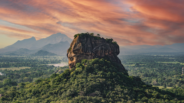 Forests around Pidurangala Rock in Sigiriya, Sri Lanka
