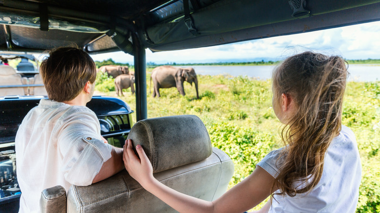 People spotting elephants from safari Jeep in Udawalawe National Park in Sri Lanka
