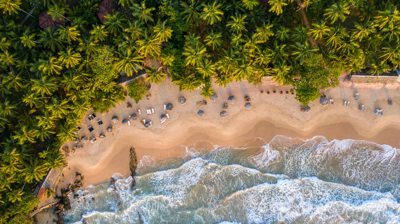 A bird's eye view of a tropical Sri Lankan beach with palm trees and waves