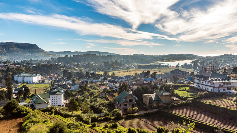 Nuwara Eliya seen from an elevation dotted with colonial buildings