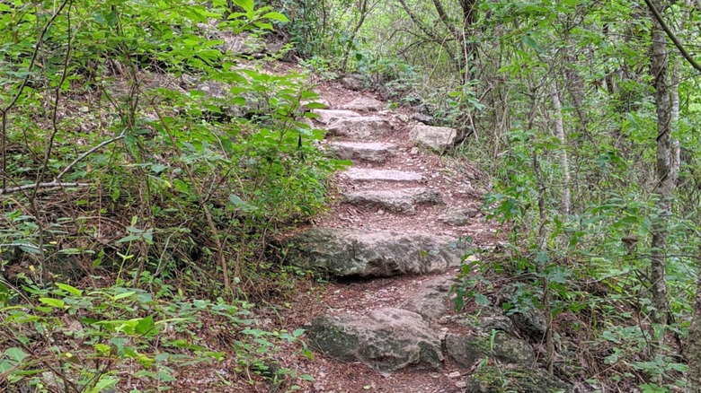 The hiking trail at St. Edwards Greenbelt in Austin, Texas