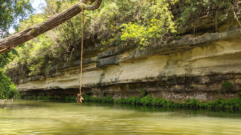 An improvised rope swing hangs at St. Edwards Greenbelt in Austin, Texas