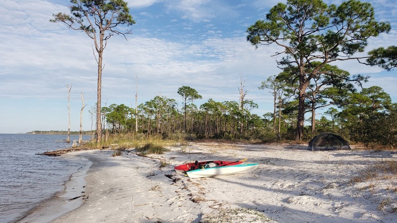 Two kayaks on a white sand beach next to a tent at a primitive campsite at St. George Beach State Park.