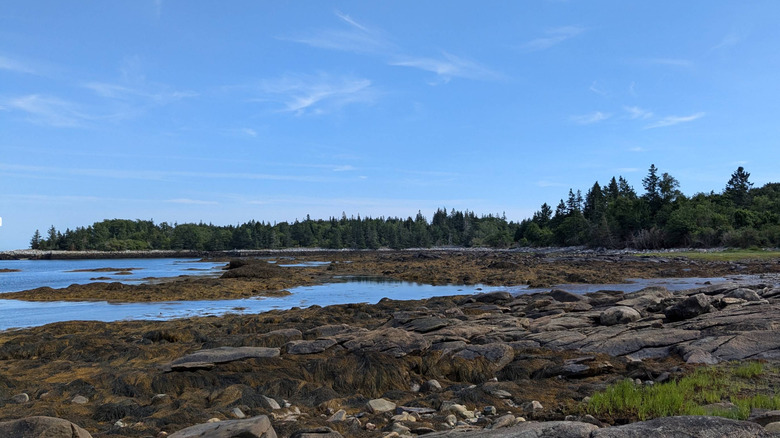 Clark Island Preserve's scenic coastal landscape in St. George.