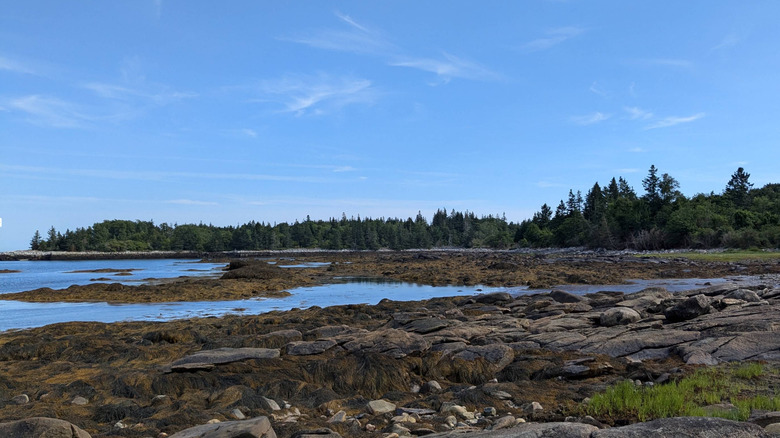 Clark Island Preserve's scenic coastal landscape in St. George.