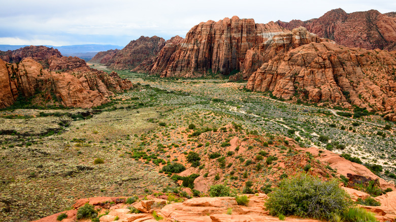 Snow Canyon State Park near St. George, Utah