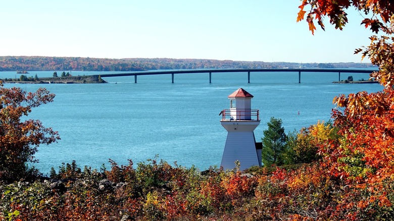Rectangular lighthouse surrounded by maple trees against lake views
