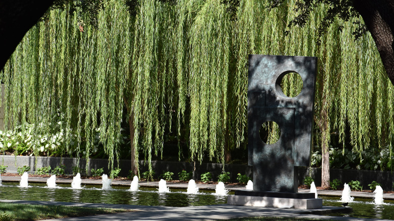 A sculpture positioned next to hanging plants and a water feature at Nasher Sculpture Center in Dallas, Texas