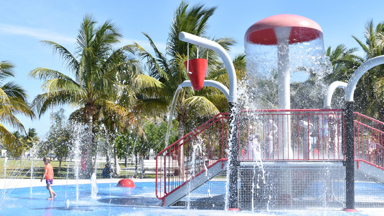 Splash pad surrounded by palm trees