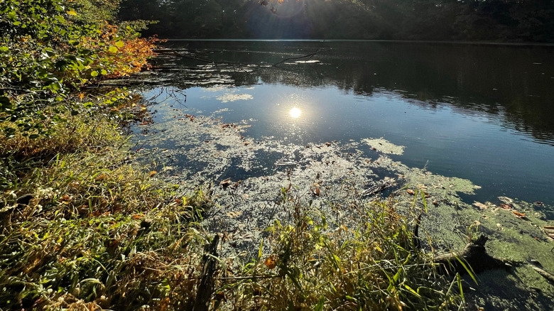 The sun over the water at Matthiessen State Park in Illinois