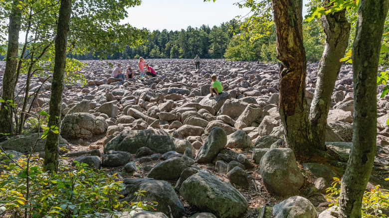 Families enjoying hiking through the boulder field at Hickory Run State Park.