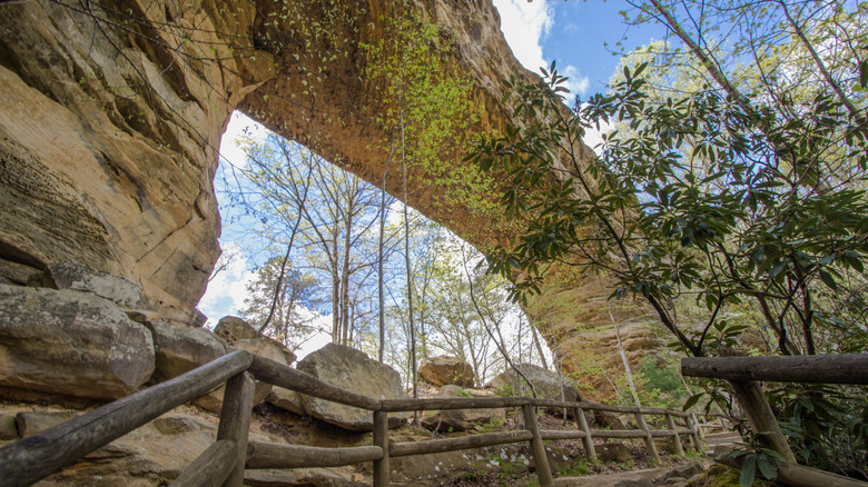 The Natural Bridge stone archway is the centerpiece of the Natural Bridge State Park in Slade, Kentucky.