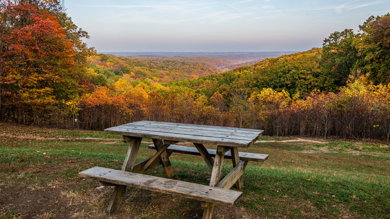 A picnic table overlooking a fall forest at Brown County State Park, Indiana