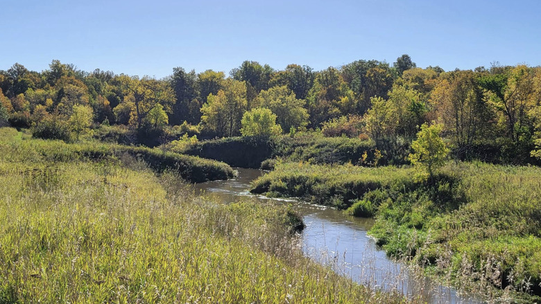 A stream flowing through Icelandic State Park