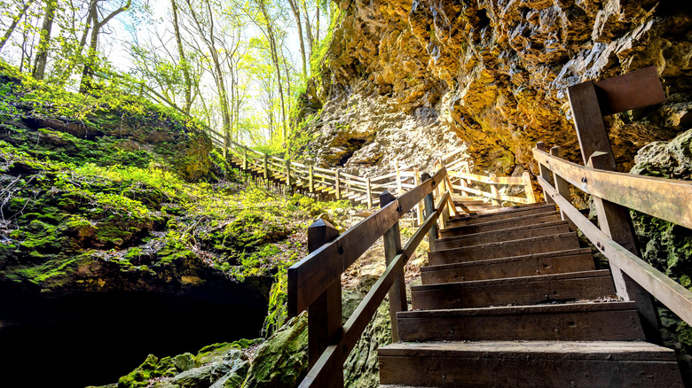 The scenic entrance steps leading to Maquoketa Caves at Maquoketa Caves State Park