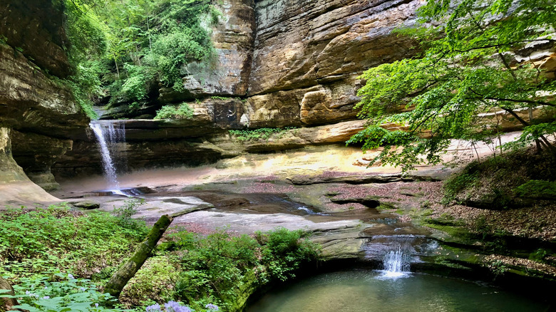 A waterfall runs into a pool in Starved Rock State Park after a spring rain