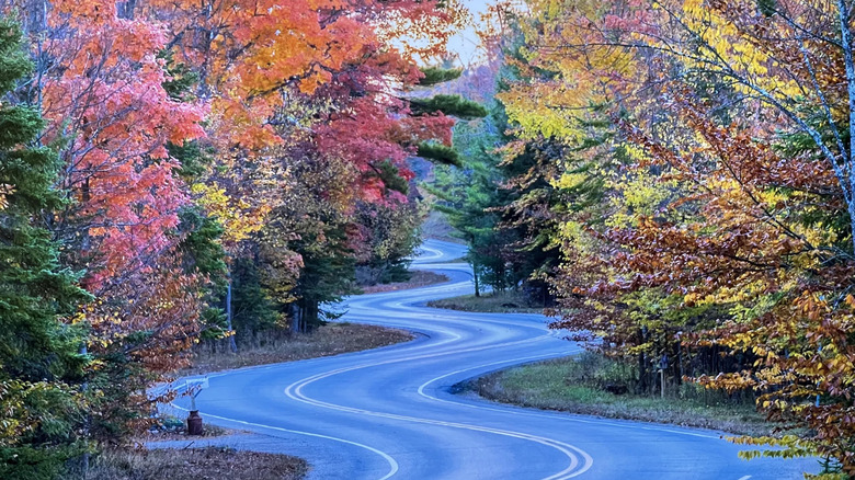 Winding Route 42 in Wisconsin's Door County with fall-colored trees lining the road