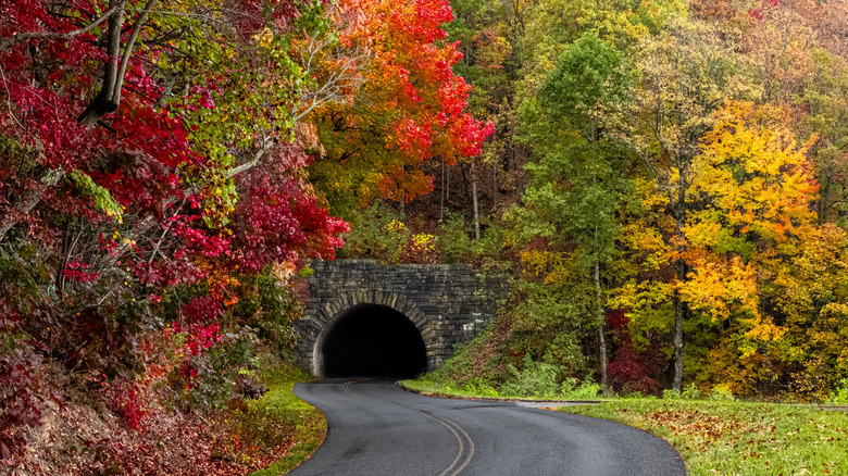 The entrance to the Young Pisgah Tunnel on the Blue Ridge Parkway in autumn
