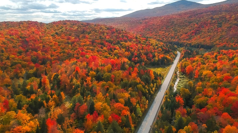Spectacular fall foliage in New England, aerial view of a scenic byway in Stowe, Vermont