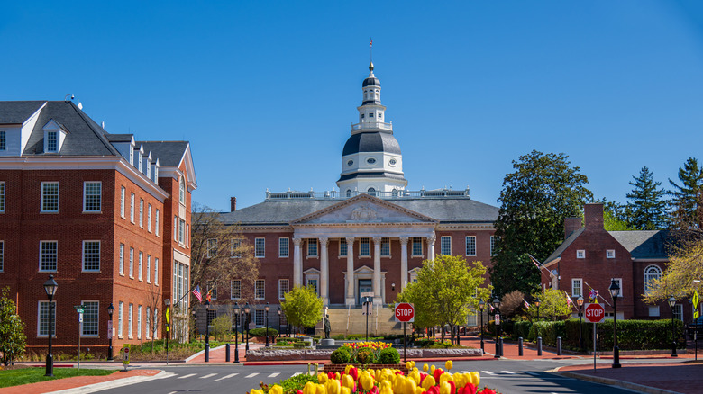 Tulips blooming in front of Annapolis Maryland State House