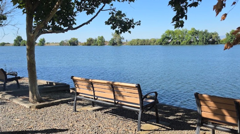 Relaxing view of the shimmering water at Buckley Cove Park along the California Delta in Stockton, California