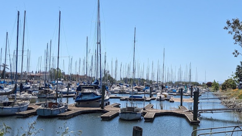 Harbor view of Buckley Cove Park in Stockton, California.