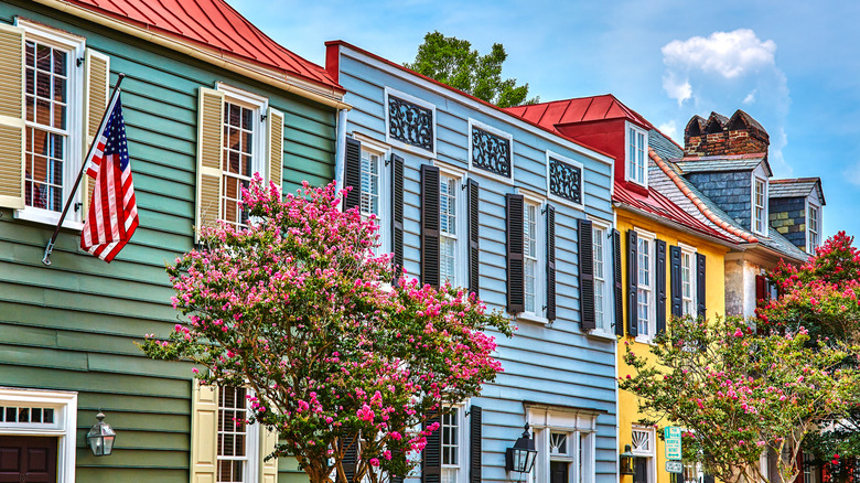 Colorful houses with pink-flowered trees in Charleston, South Carolina