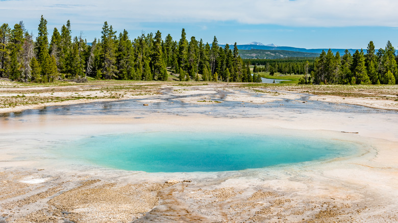 round turquoise colored thermal pool surrounded by evergreen trees in Yellowstone National Park