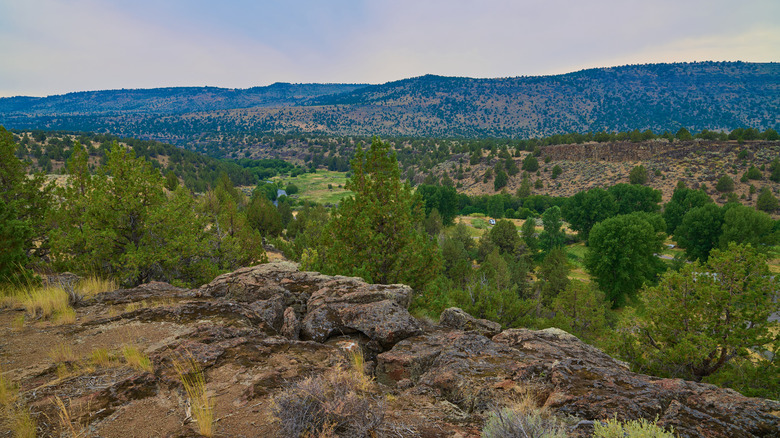 View from the bluffs above Page Creek Campground, Oregon.
