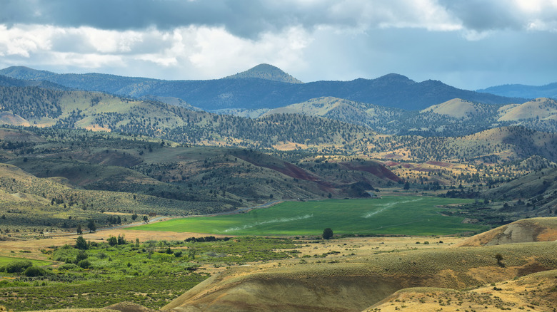 View of green and mountains from Carroll rim trail in Painted Hills National Monument in Oregon, USA