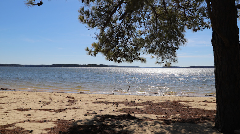 A beach at Kerr Lake