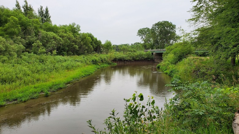 River lined by trees and grass in Nations Bridge Park