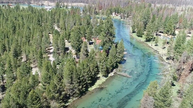 blue Spring Creek winds through forest