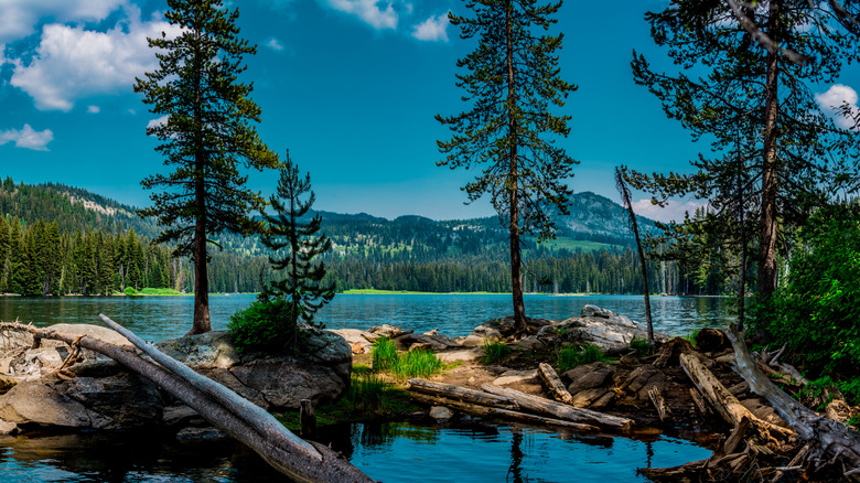 Beautiful lake in Payette National Forest, ID