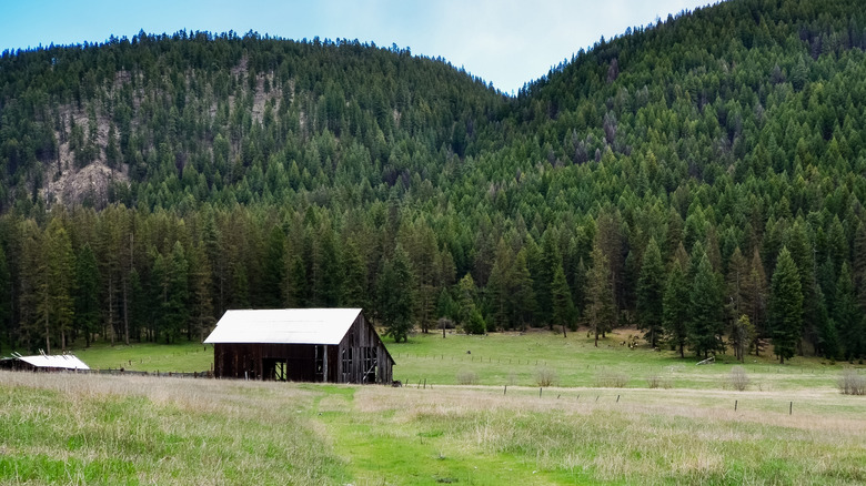 Montana's Kootenai National Forest