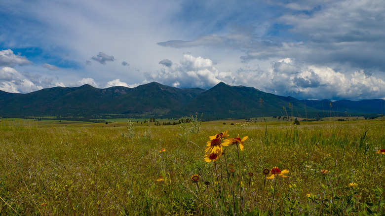Mountain views in Eureka, Montana
