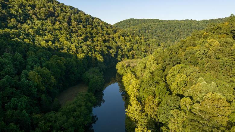 An aerial view of Sutton Lake, surrounded by trees