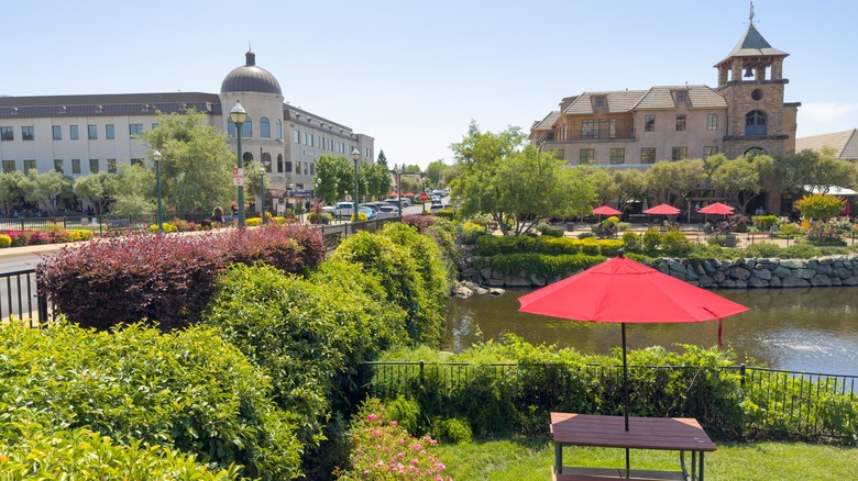 River view of the town center in El Dorado Hills, California with plants and trees surrounding the river walk with business buildings in the background.