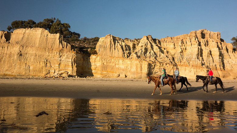Horseback riders on the beach beneath sandstone cliffs