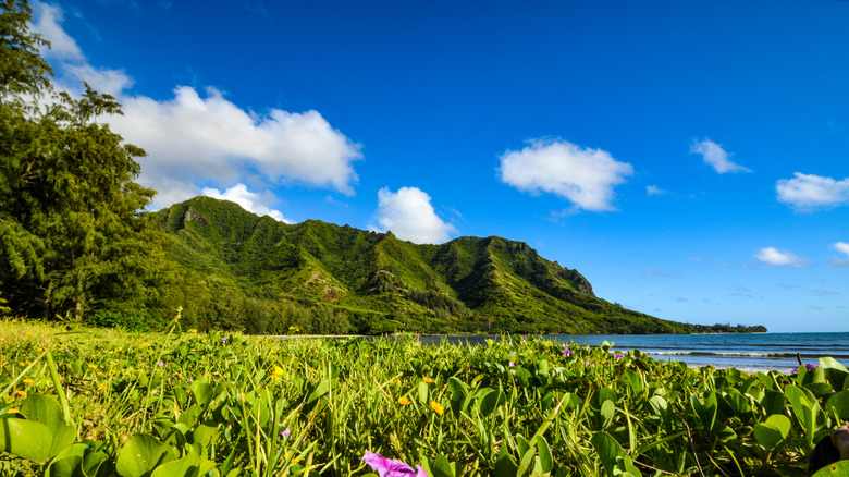 Ahupua'a O Kahana State Park