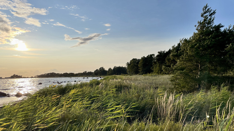 Björkhaga beach on the island of Gotland, Sweden