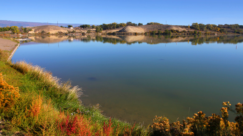A lake surrounded by grass in Sweitzer Lake State Park in Delta, Colorado
